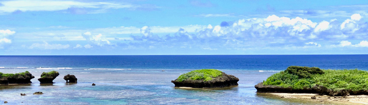 西表島、大自然のビーチ
